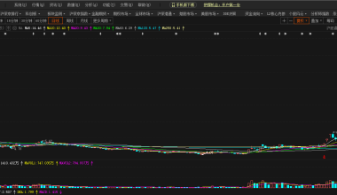 11.1晗哥etf - 野菊小站